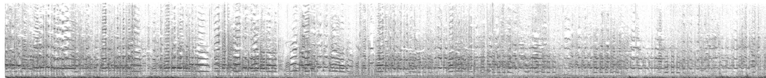 オーストラリアシロカツオドリ - ML186518681