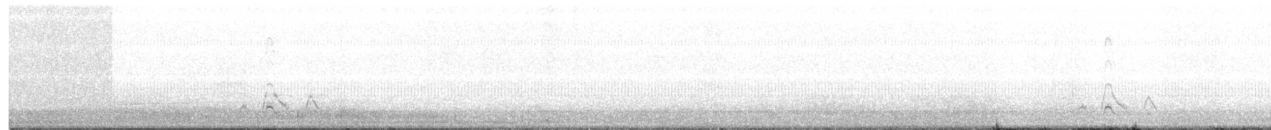 American Wigeon - ML186640361