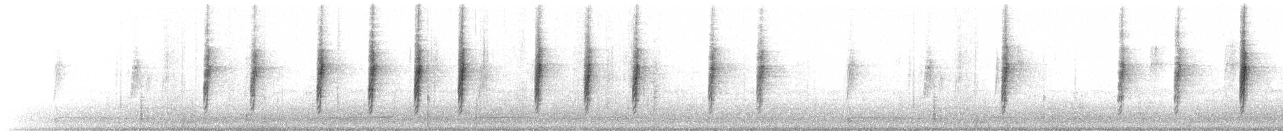 Пісняр-лісовик жовтогузий (підвид auduboni) - ML186641751