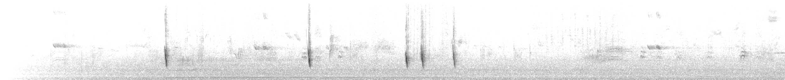 Дрізд-короткодзьоб плямистоволий - ML186647851