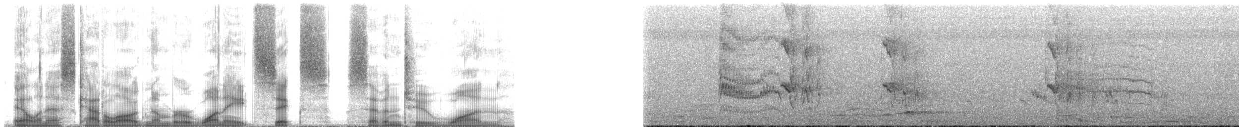 Челноклювый бентеви [группа mexicanus] - ML186721