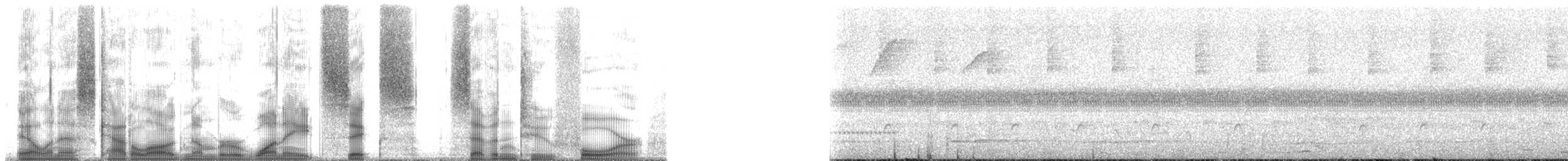 Кустарниковый скрытохвост [группа cinnamomeus] - ML186724