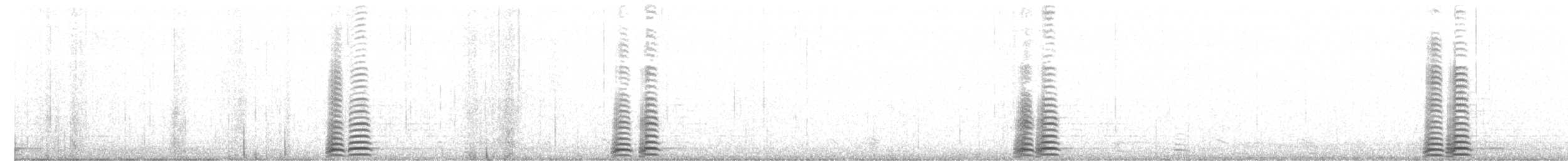 Cisne Trompetero - ML186732741