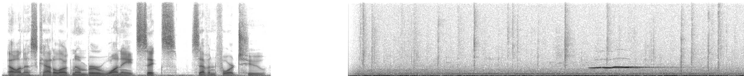 Tinamou cannelle (groupe cinnamomeus) - ML186742