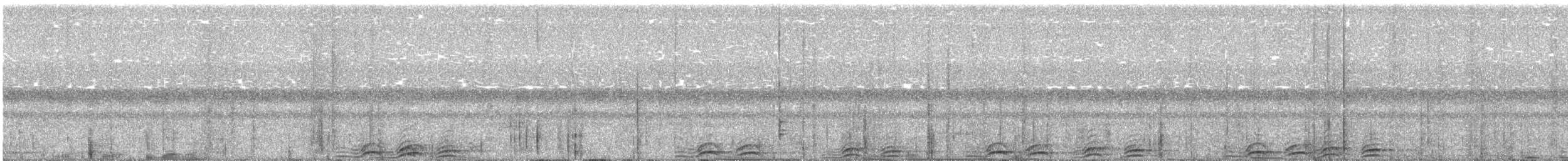 Сова-голконіг плямиста - ML186789101