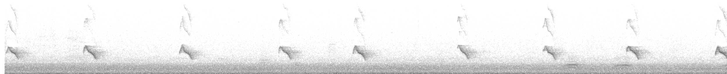 Evening Grosbeak (type 1) - ML186818211
