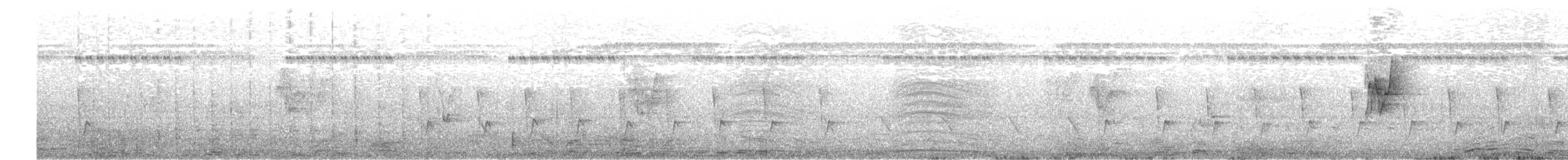 langhaleskredderfugl - ML186826601