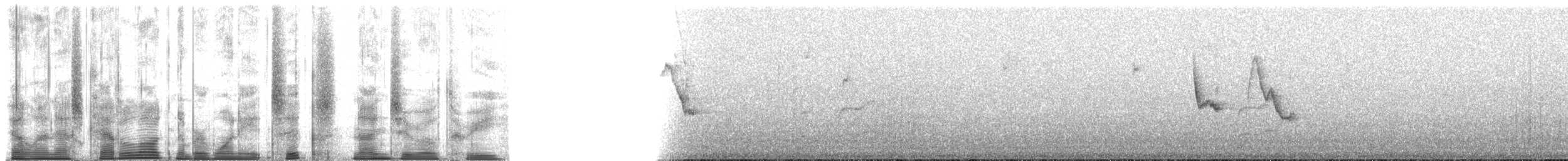 Чернолицая атлапета - ML186903