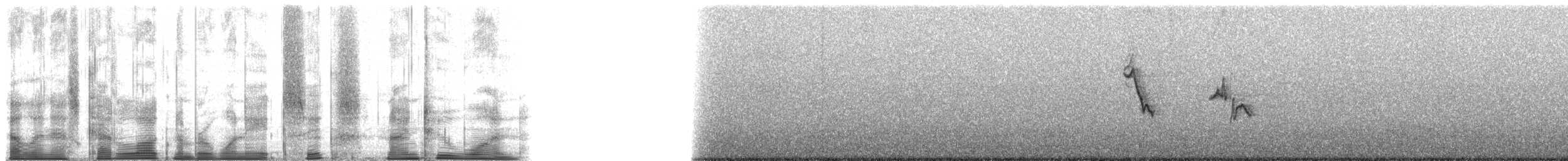 Чернолицая атлапета - ML186921