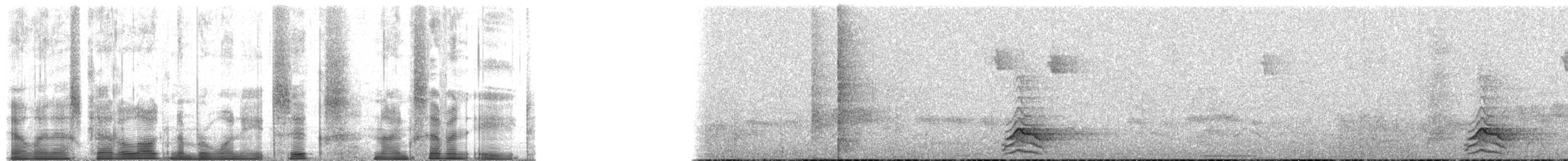 Tinamou à capuchon - ML186978