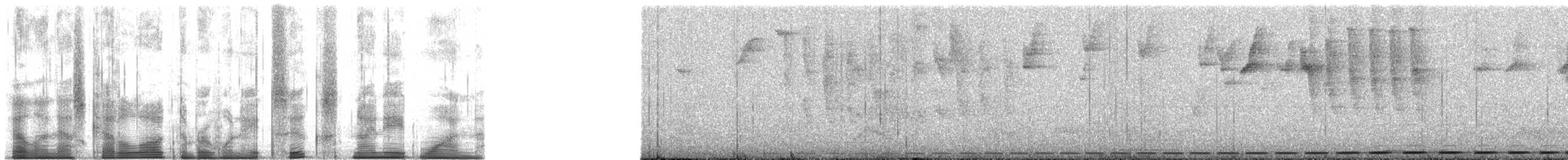 Scaled Antpitta - ML186981