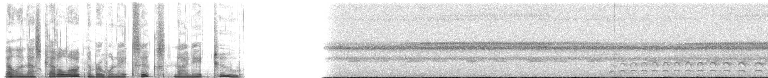 Андская совка (hockingi) - ML186982