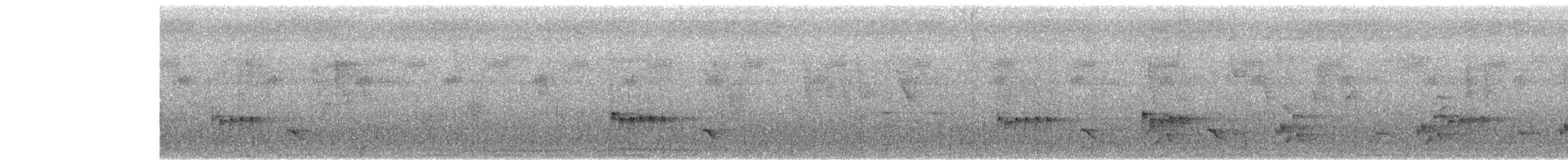 Black Drongo - ML186983141