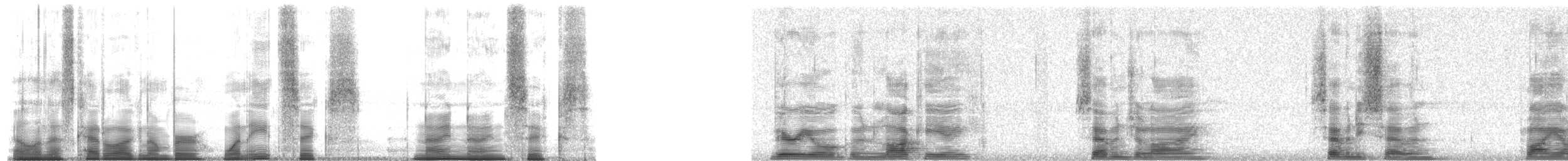 Cuban Vireo - ML186996