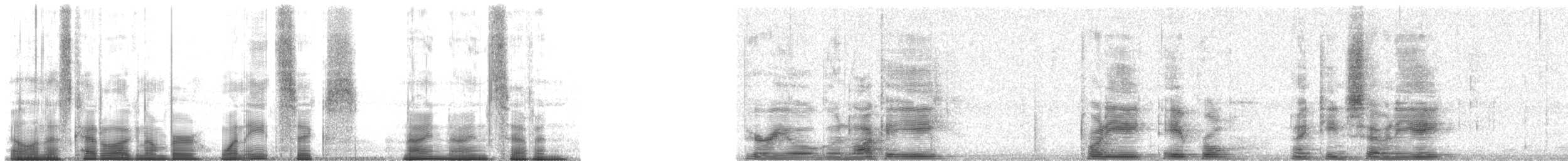 Cuban Vireo - ML186997