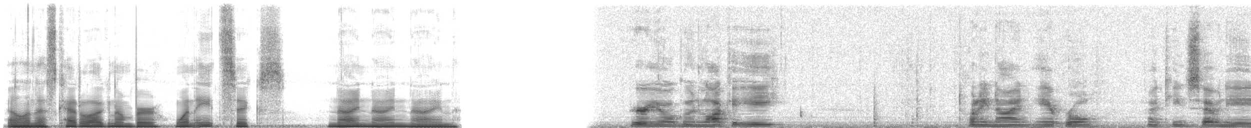 Cuban Vireo - ML186999