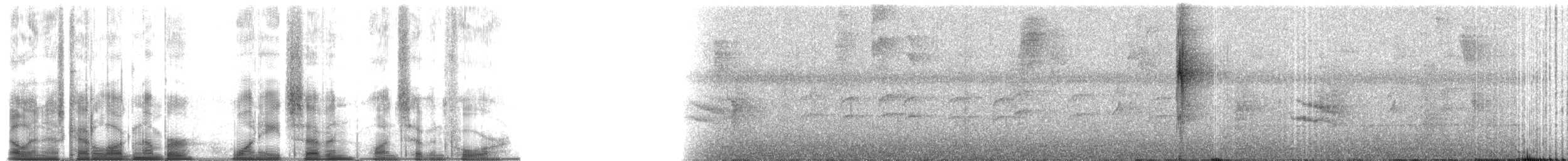 Ticotico de Anteojos (temporalis) - ML187174