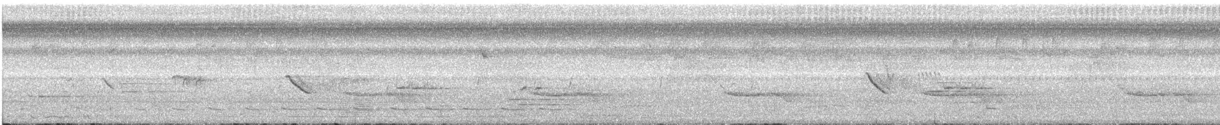 Желтобрюхий трогон - ML187281301