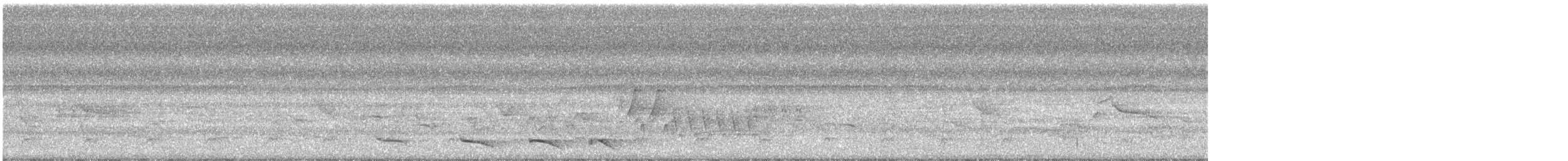 Trogon rosalba - ML187281541