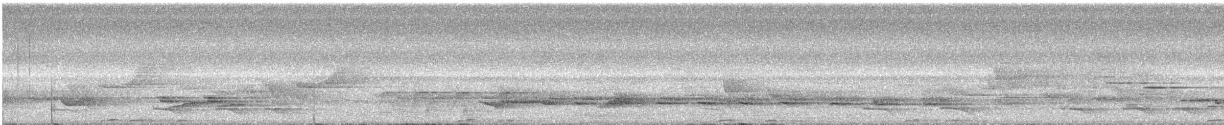 Trogon rosalba - ML187281641