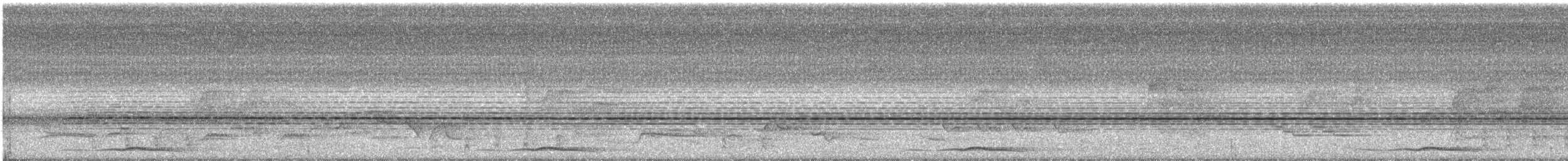 holub veracruzský - ML187283201