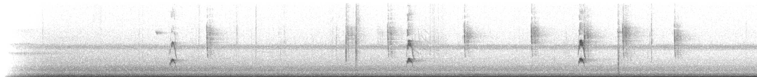 Red-cockaded Woodpecker - ML187345