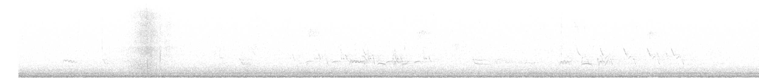 Поплітник каролінський - ML187436871