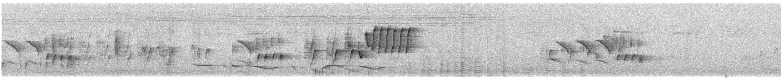 Cisticole grinçante - ML187571581