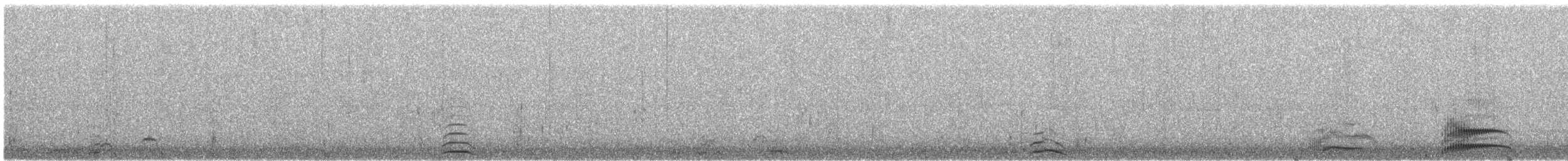 Cygne siffleur - ML187691441