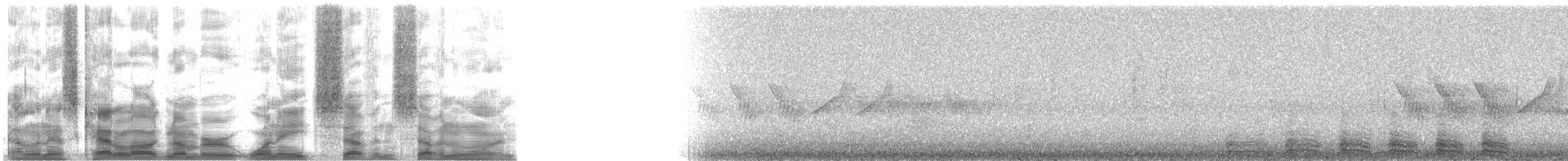 trogon měděnoocasý - ML18771