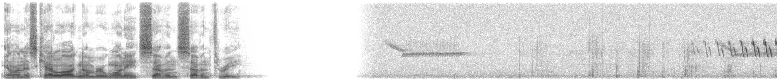 Grace's Warbler - ML18773