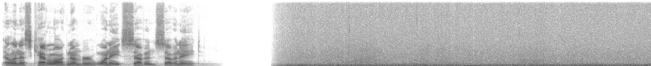 Cassin's Kingbird - ML18778