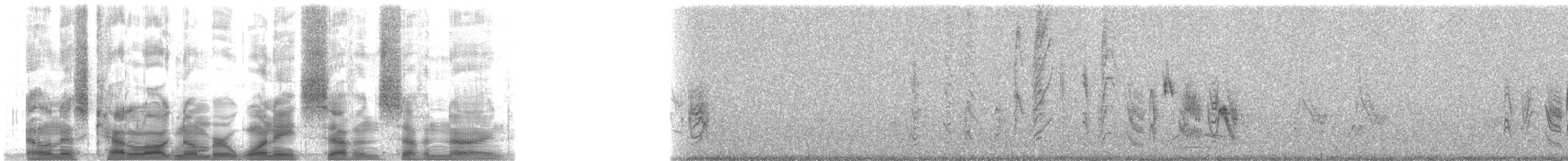 Bell's Vireo (Arizona) - ML18779