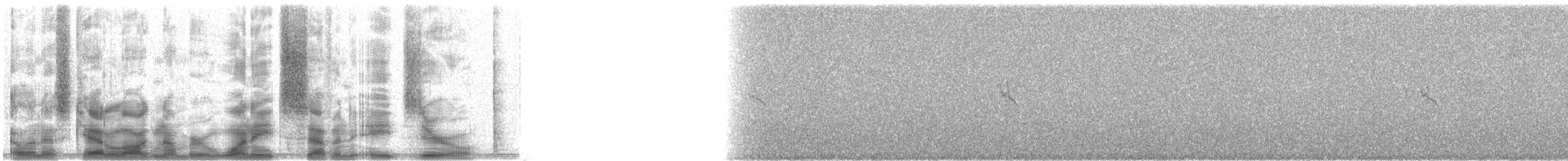 MacGillivray's Warbler - ML18780