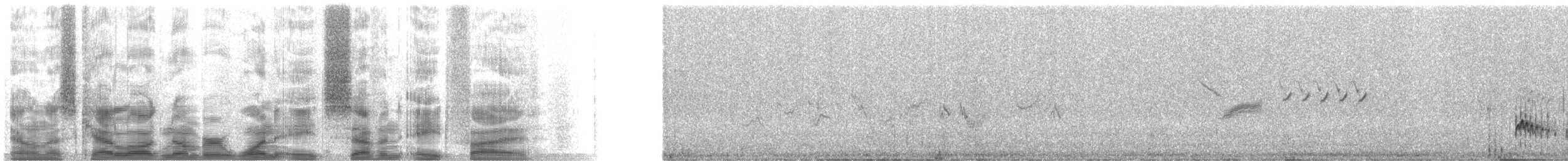 Ash-throated Flycatcher - ML18785