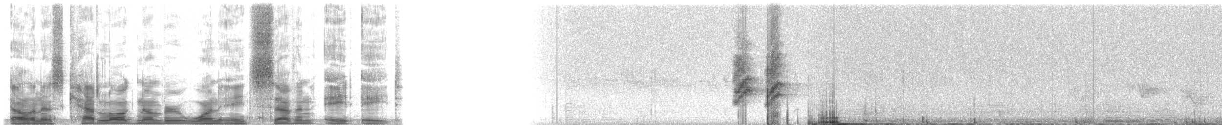 Mexican Jay (Arizona) - ML18788