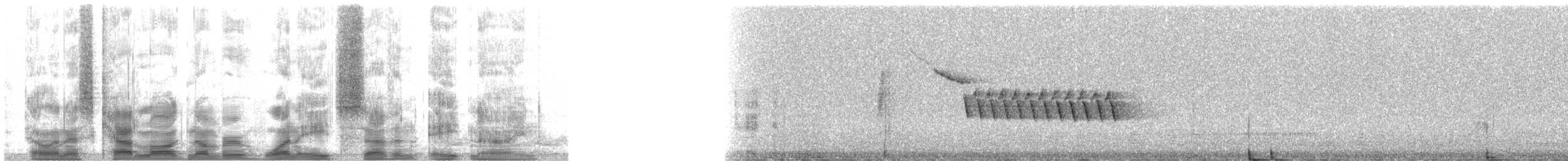 Bewick's Wren - ML18789