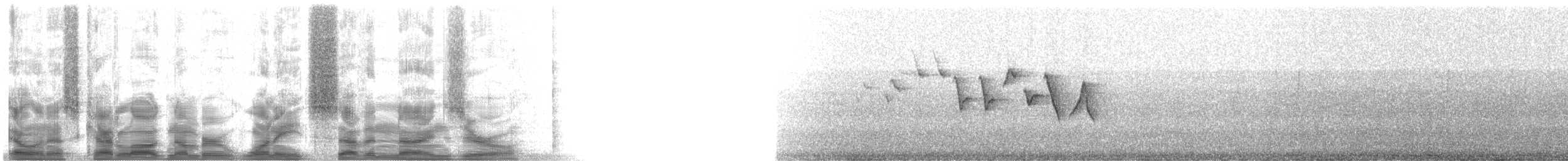 Red-faced Warbler - ML18790