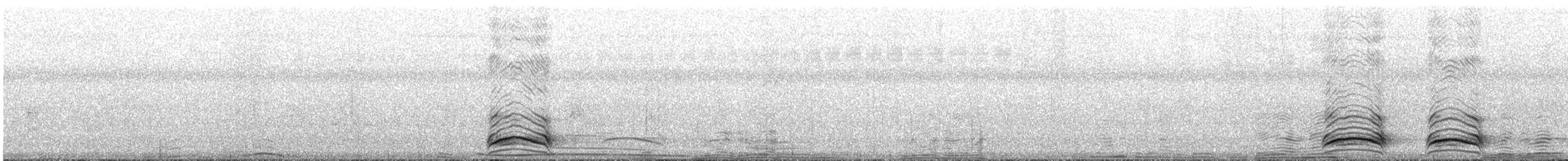 tykknebbkråke (culminatus) (indiakråke) - ML187930831