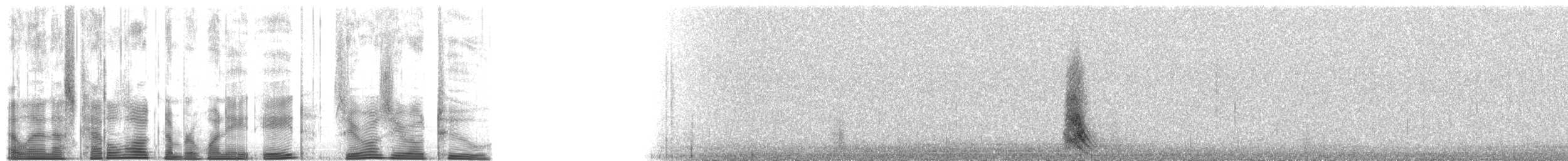 Zingira-hontza (flammeus) - ML188002