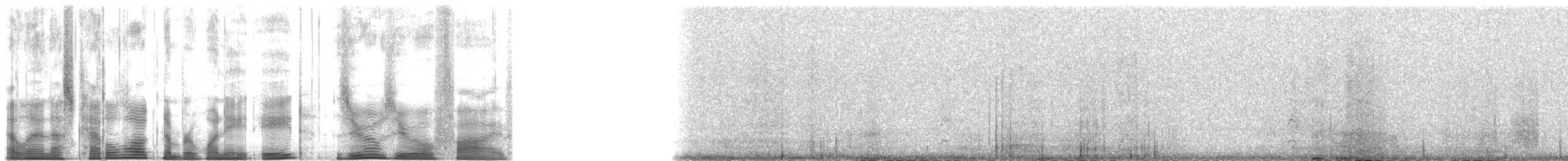 Zingira-hontza (flammeus) - ML188005