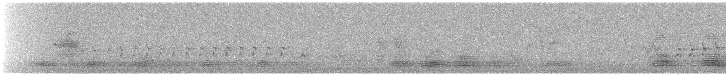 Brown Goshawk - ML188008441