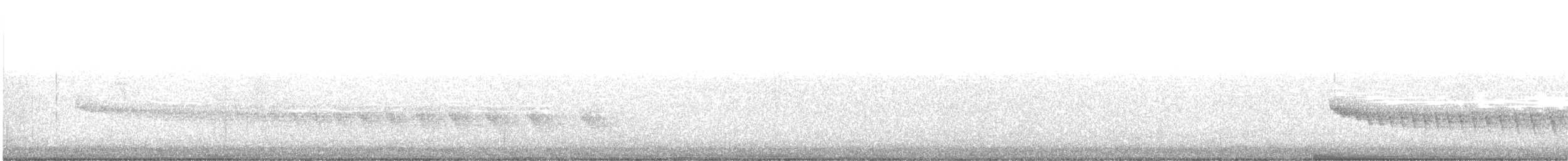 Grauband-Ameisenvogel - ML188034791