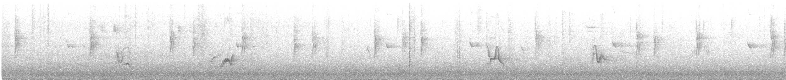 Plumbeous Vireo - ML188036071