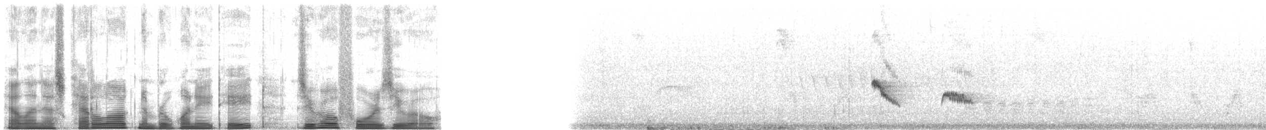 Élénie siffleuse (groupe martinica) - ML188040