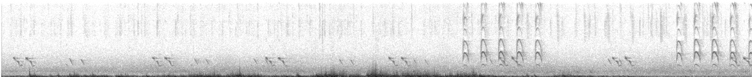 Streifenpanthervogel - ML188043491
