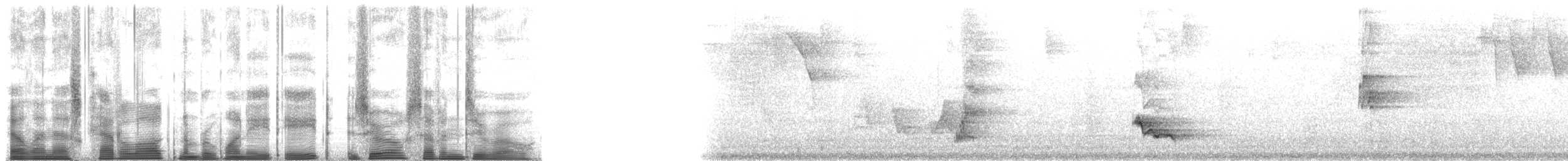 rødleggtrost (ardosiaceus/albiventris) - ML188070