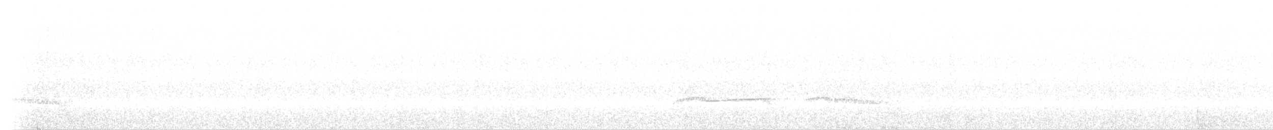 Дрімлюга гірський (підвид poliocephalus) - ML188083531