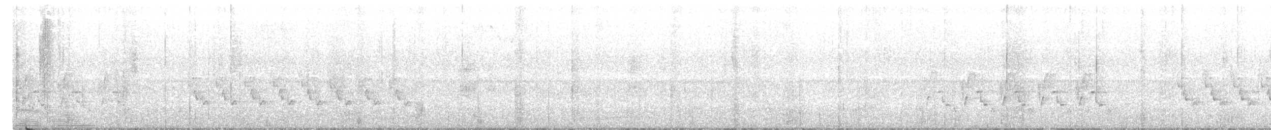 Каролинский крапивник [группа berlandieri] - ML188170371