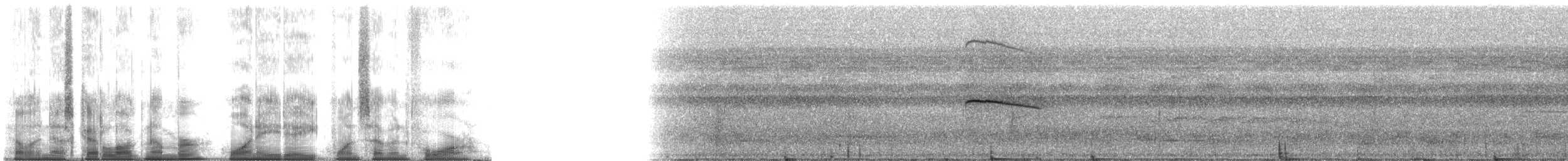 Tamatia brun - ML188174